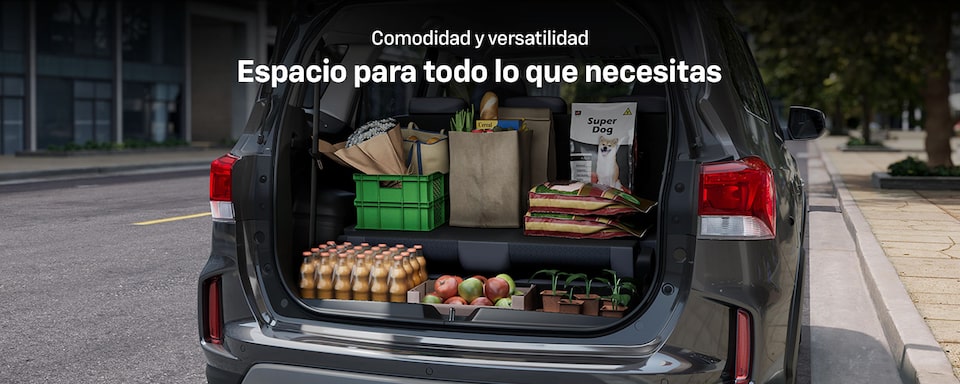 Chevrolet Spin - Espacio para todo lo que necesitas